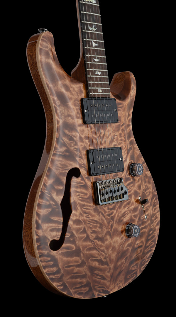 PRS Custom 24 Hollow Wood Library