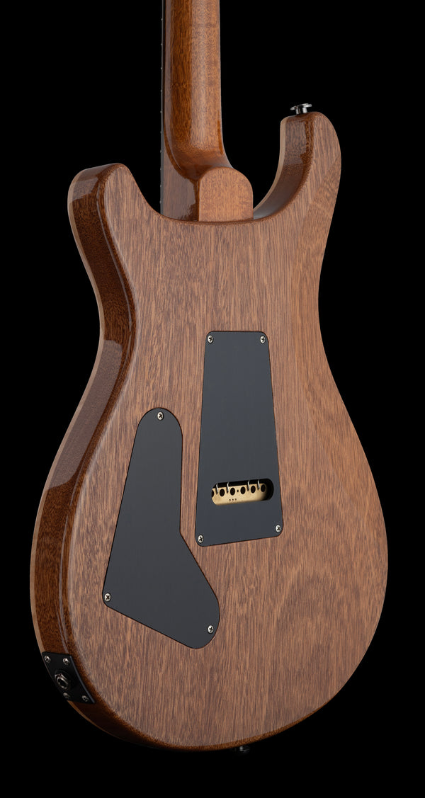 PRS Custom 24 Hollow Wood Library