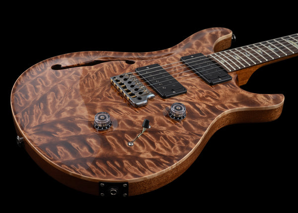 PRS Custom 24 Hollow Wood Library
