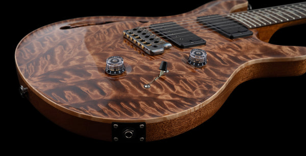 PRS Custom 24 Hollow Wood Library