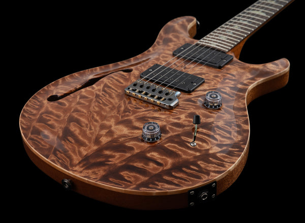 PRS Custom 24 Hollow Wood Library