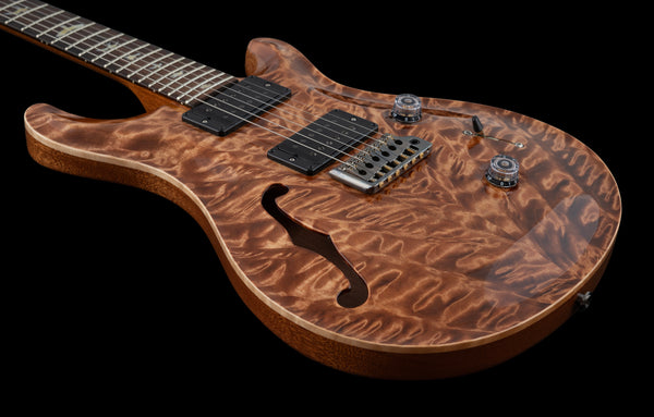 PRS Custom 24 Hollow Wood Library