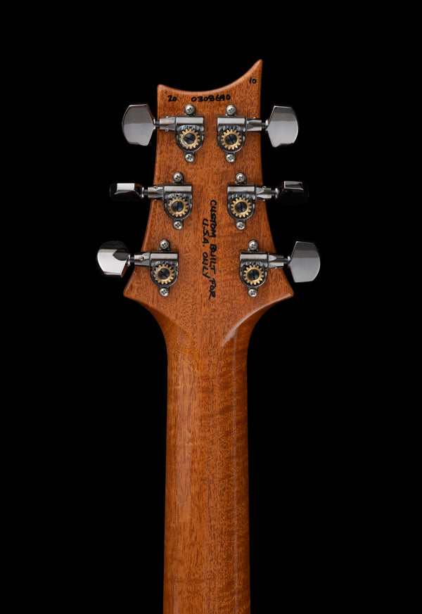PRS Custom 24 Hollow Wood Library