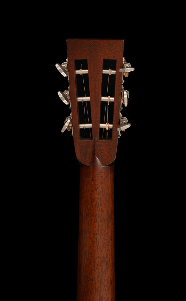Collings 001 SB T S