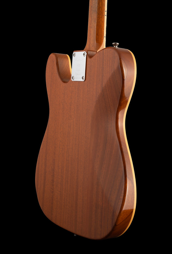 Shabat Lion Special owned by Tim Pierce