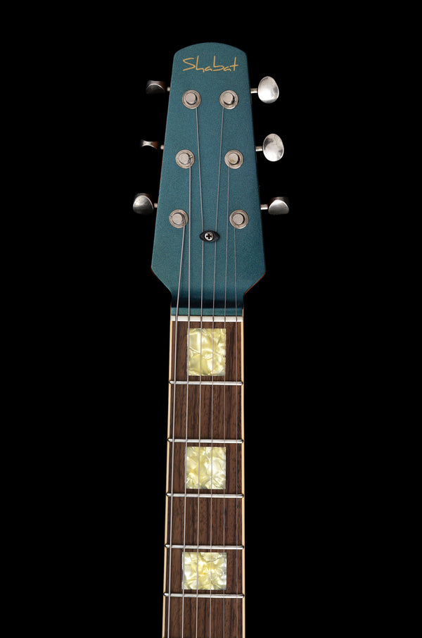 Shabat Lion Special owned by Tim Pierce