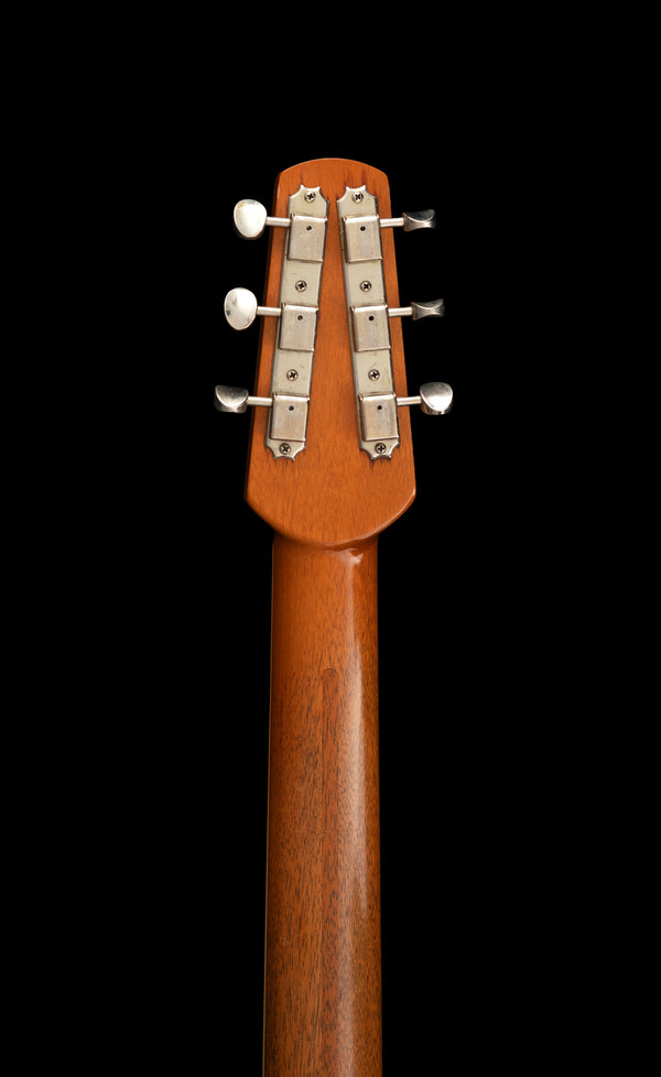 Shabat Lion Special owned by Tim Pierce