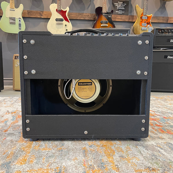 Friedman Runt 50 Combo