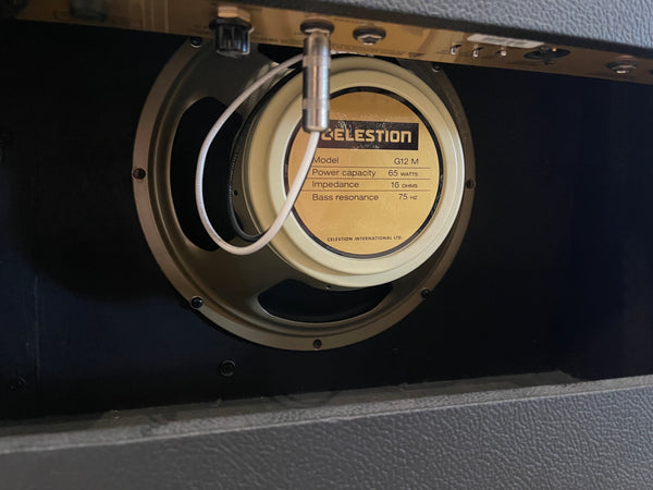 Friedman Runt 50 Combo