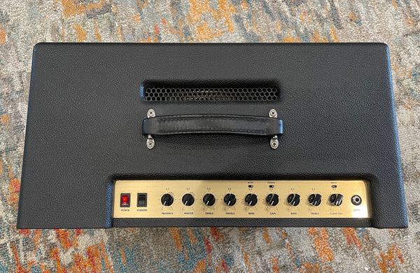 Friedman Runt 50 Combo