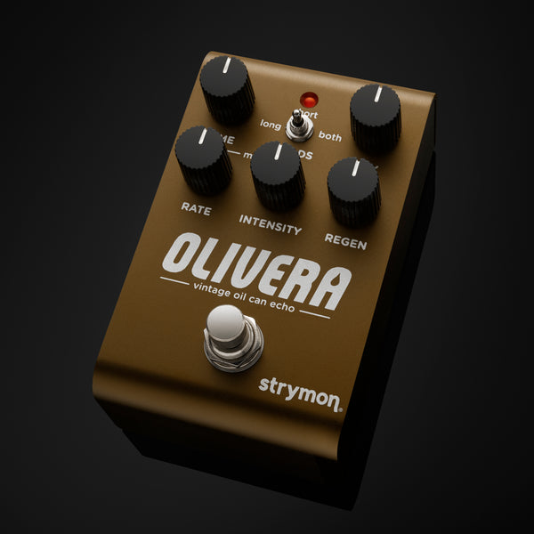 Strymon Oliviera Vintage Oil Can Echo