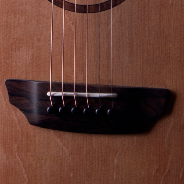 Donovan Leah Caroline | Master Grade Cutaway