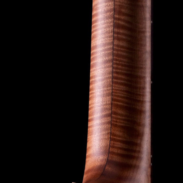 Donovan Leah Caroline | Master Grade Cutaway