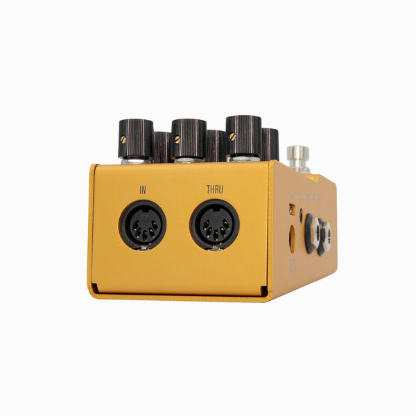 Walrus Audio Mako Series ACS1 Amp + Cab Simulator