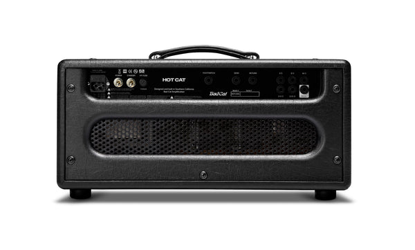 Bad Cat Hot Cat Head