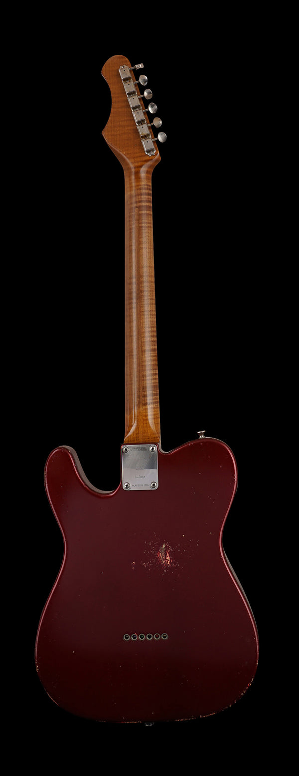 Shabat Lion Standard - Merlot Metallic