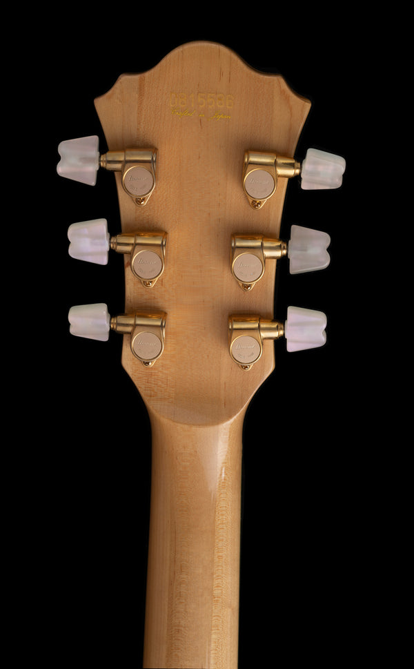 Ibanez George Benson GB-10