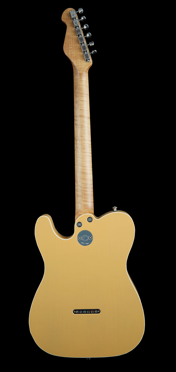 Ron Thorn SoCal G/T Palomino