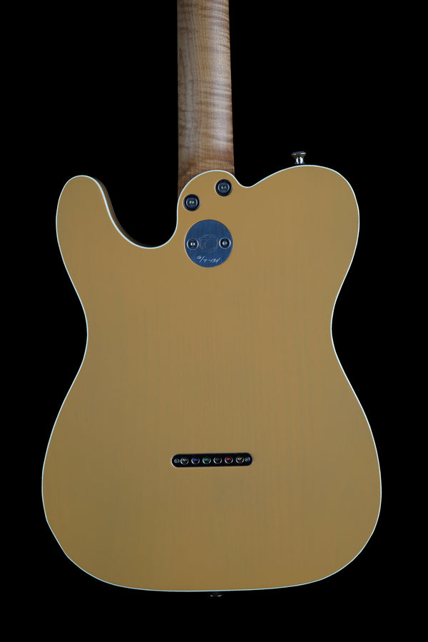 Ron Thorn SoCal G/T Palomino