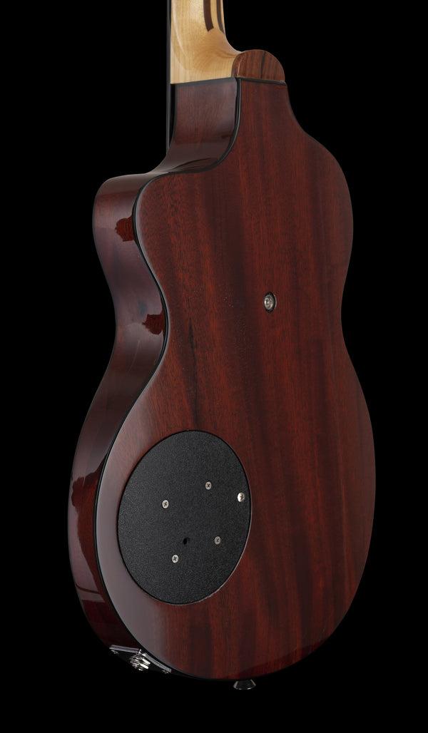 Rick Turner Model 1 Lindsay Buckingham M1-C-LB