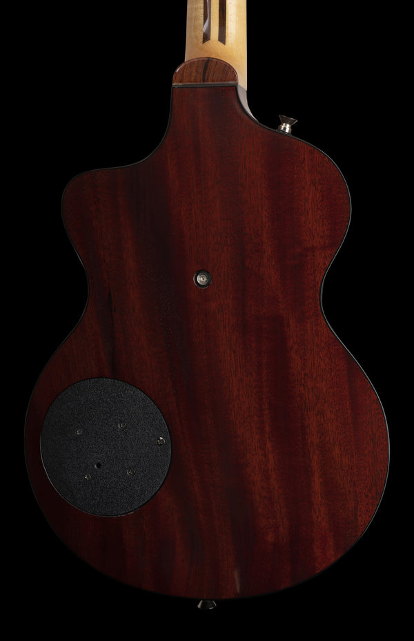 Rick Turner Model 1 Lindsay Buckingham M1-C-LB