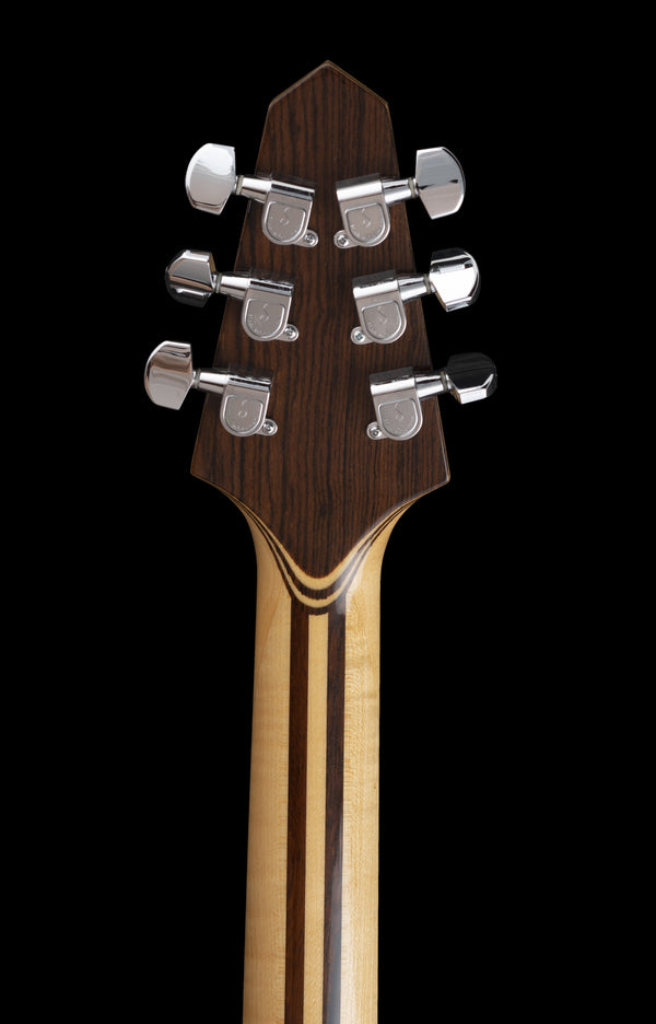 Rick Turner Model 1 Lindsay Buckingham M1-C-LB