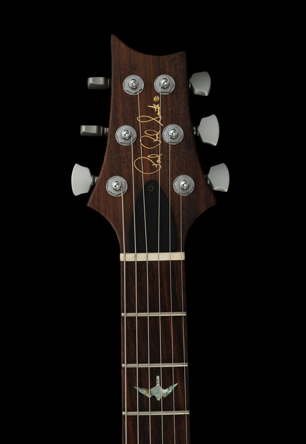 PRS McCarty custom built for Keith Nelson of Buckcherry