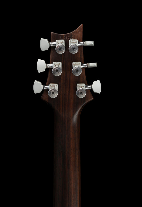 PRS McCarty custom built for Keith Nelson of Buckcherry