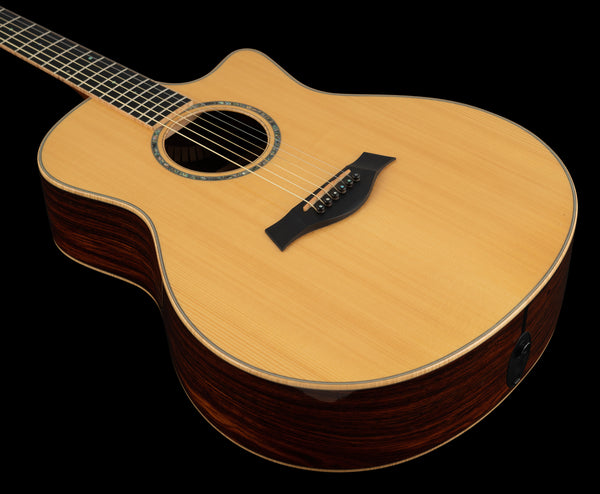 Taylor GS Custom