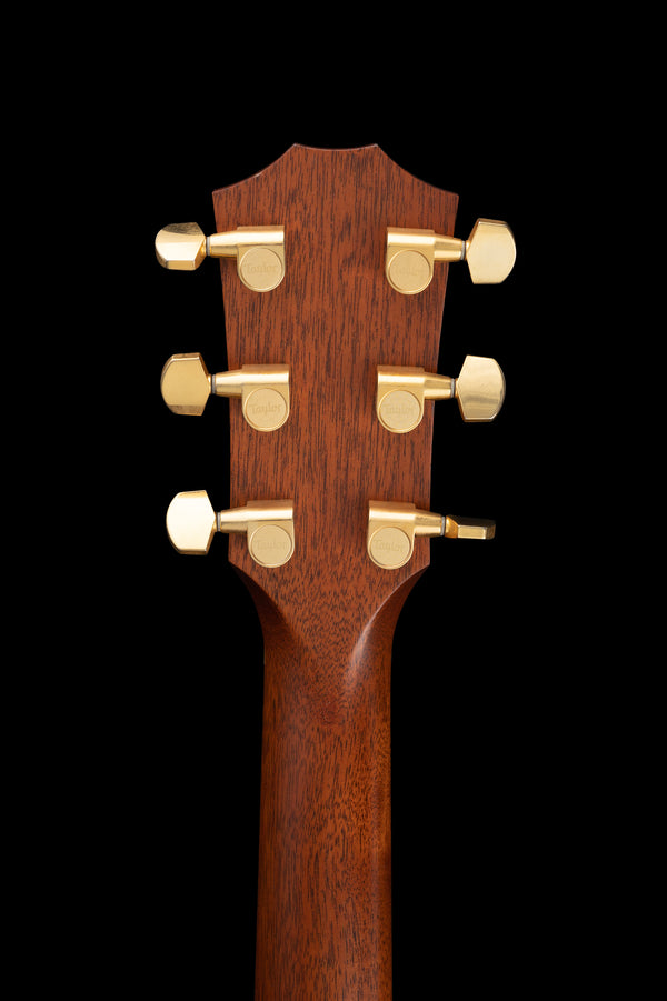 Taylor 716ce