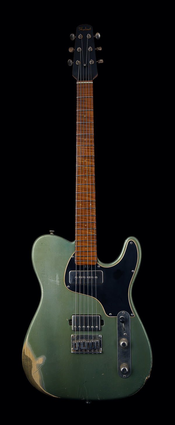 Shabat Lion Special - Ariel Green