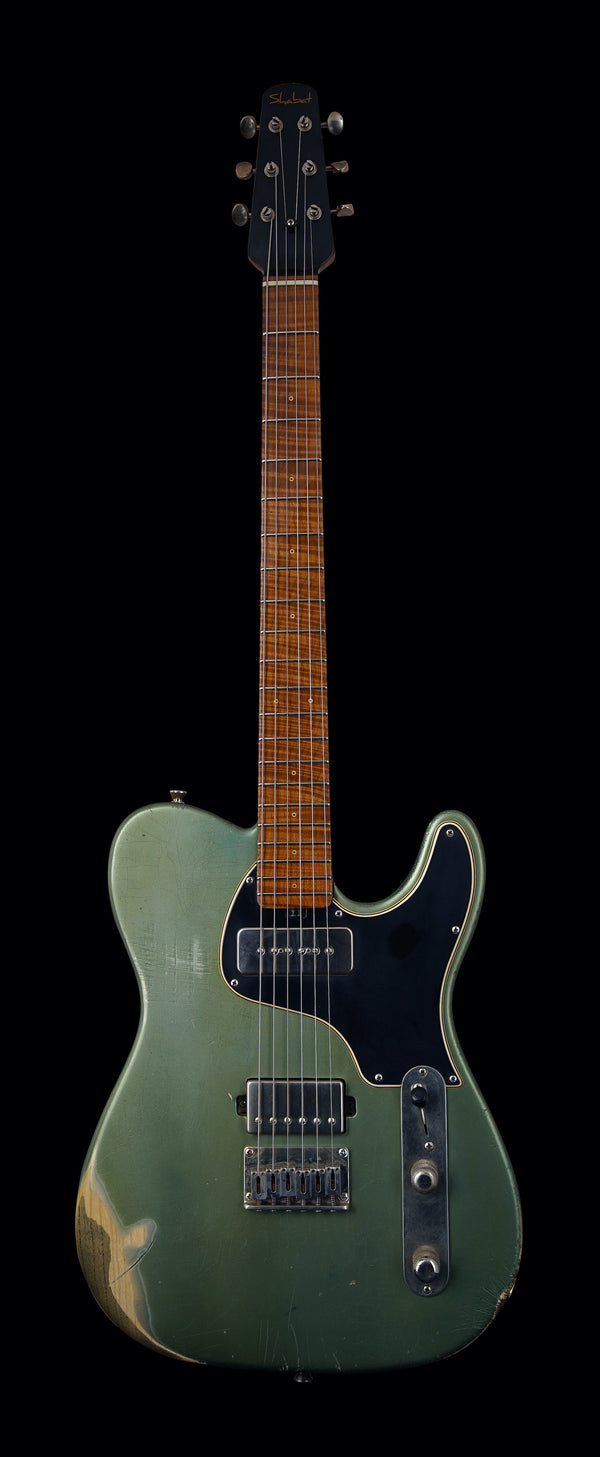 Shabat Lion Special - Ariel Green