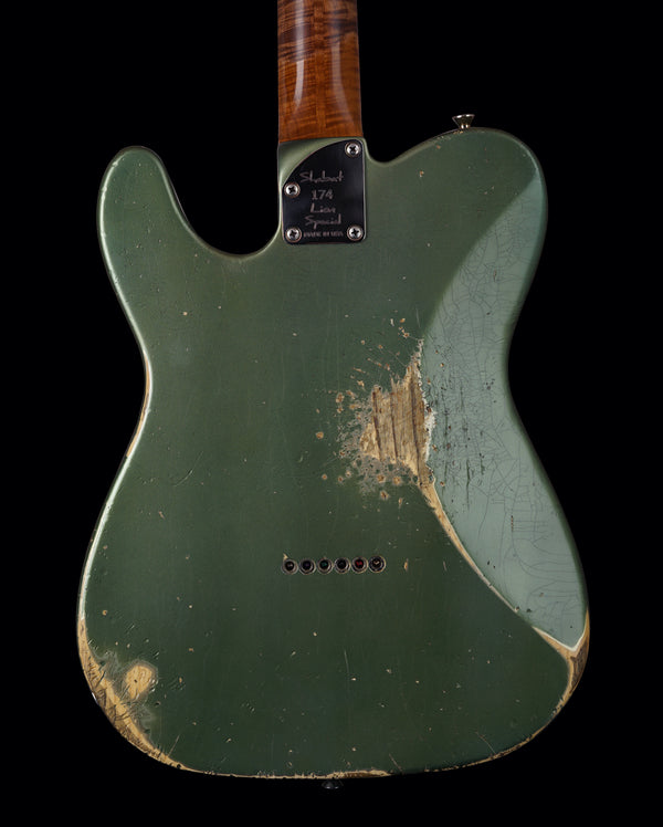 Shabat Lion Special - Ariel Green