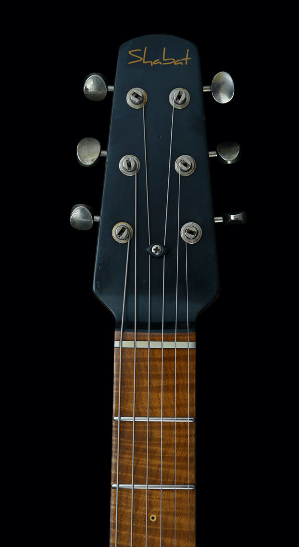 Shabat Lion Special - Ariel Green