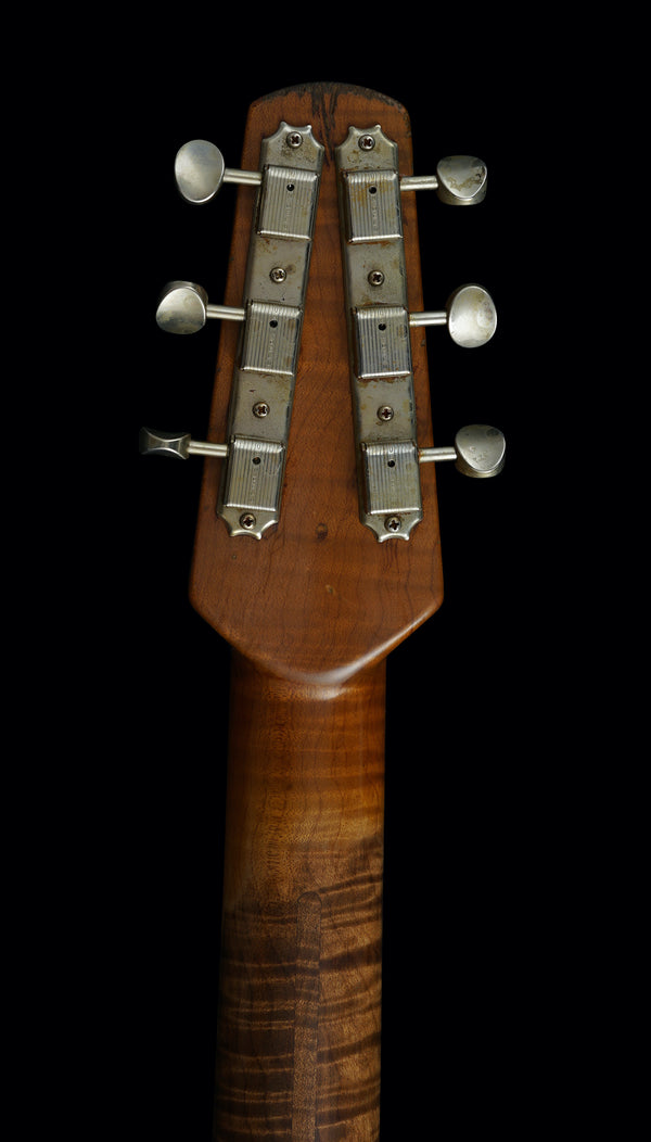 Shabat Lion Special - Ariel Green