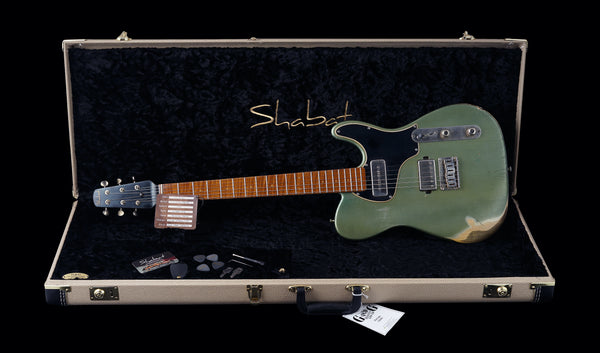 Shabat Lion Special - Ariel Green