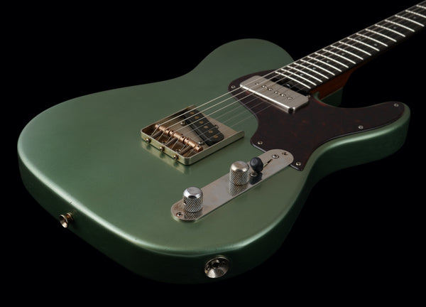 Shabat Lion Standard - Ariel Green