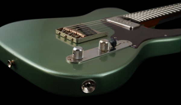 Shabat Lion Standard - Ariel Green