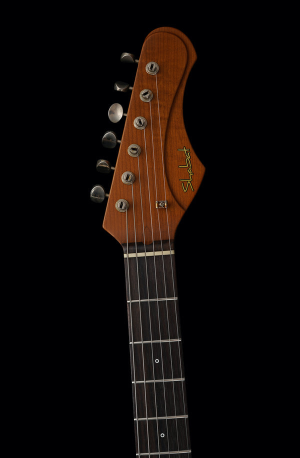 Shabat Lion Standard - Ariel Green