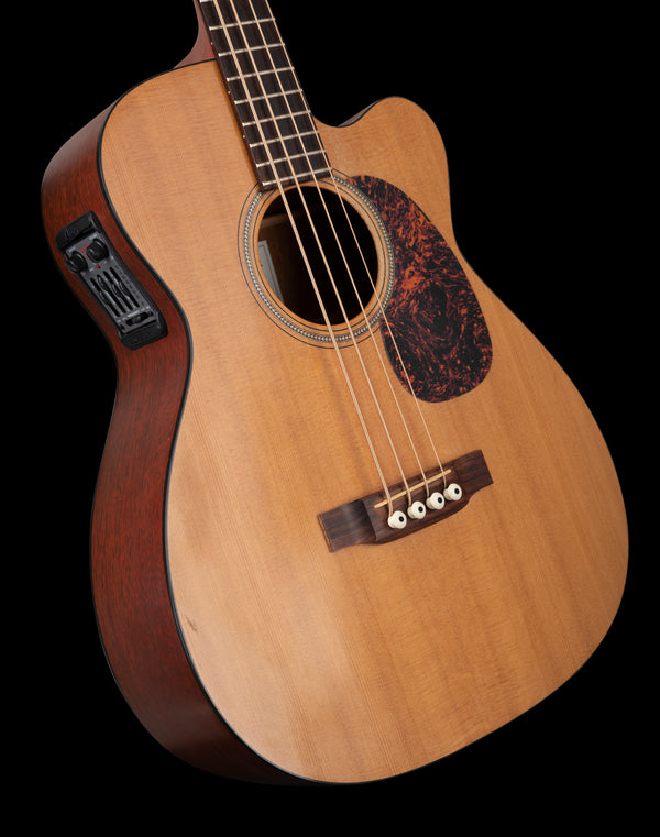 Martin BC-16GTE Acoustic Bass