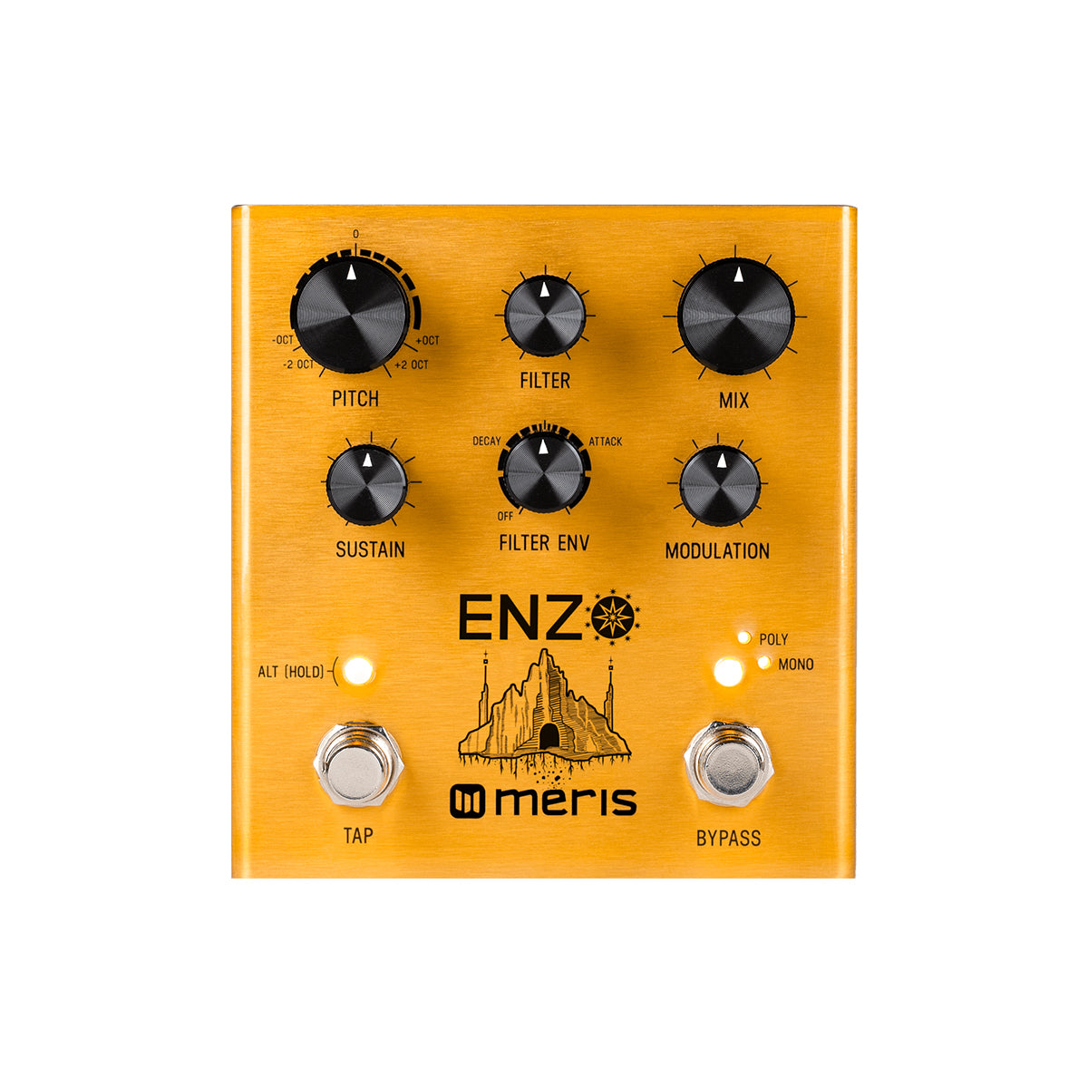meris pedal Meris Enzo Multi-Voice Instrument Synthesizer Pedal