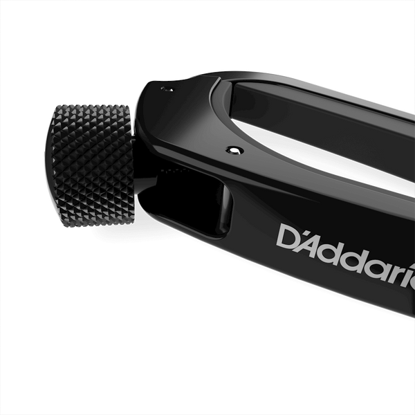 D’Addario Pro Capo