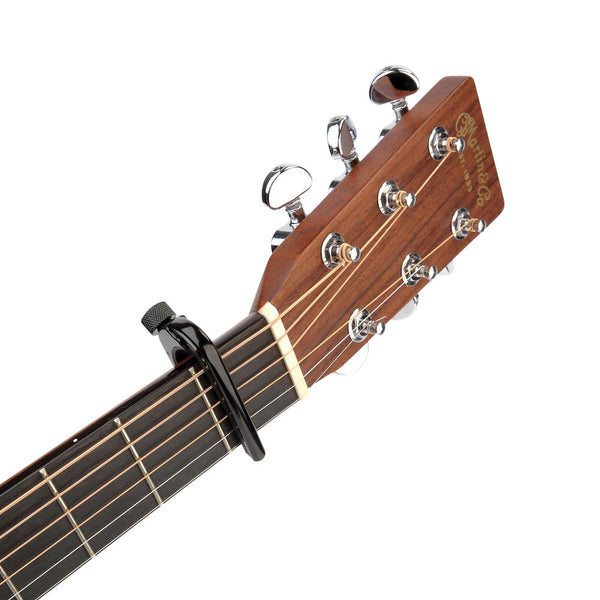 D’Addario Pro Capo