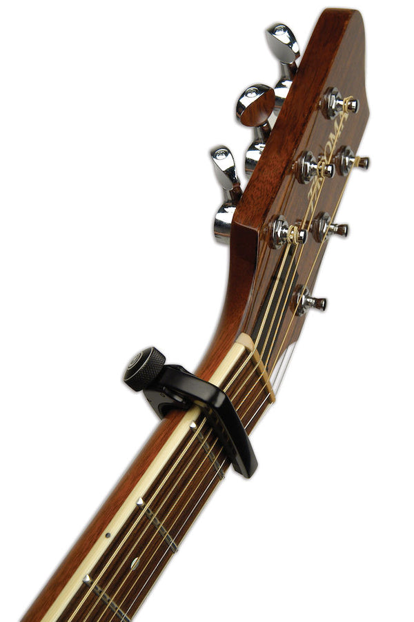 D’Addario Pro Capo