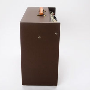 Magnatone Panoramic Stereo 2x10 Combo