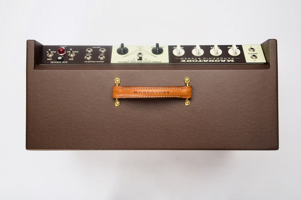 Magnatone Panoramic Stereo 2x10 Combo
