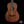 Breedlove Roots Parlor RTP-MMe