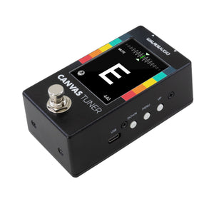 Walrus Audio Canvas Tuner