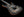 Tom Anderson Arc Angel