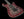 Tom Anderson Drop Top